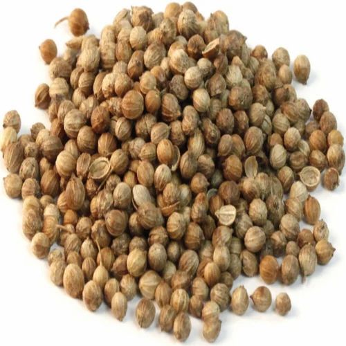 Variety: 2.SINDHU (CS-2) Fresh Coriander Seeds, Packaging Type: Gunny Bag, 50 gm