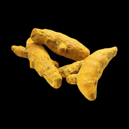 20 Kg Dried Turmeric Finger