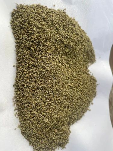 MDH Jeera ( Cumin Seed ) 10 Kg Ajmoda Seeds Celery Seeds