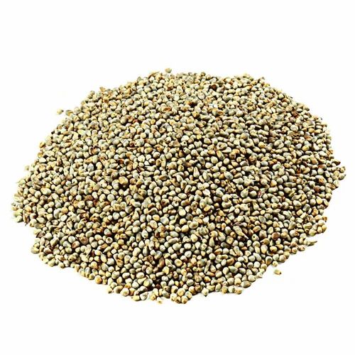 5 KG Green Millet, Gluten Free