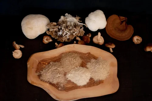 Mushroom Juice Powder, Packaging Size: 5Kg