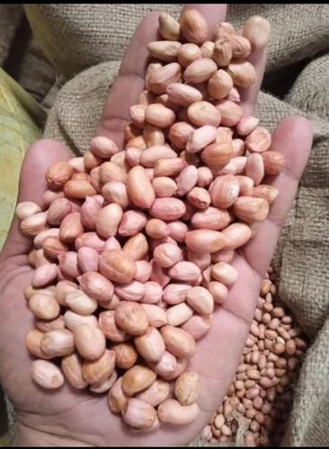 Whole Without Skin Groundnut Kernels