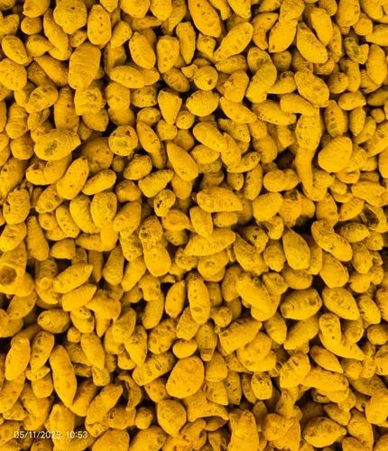 Nizamabad Turmeric Bulbs (Guttha)