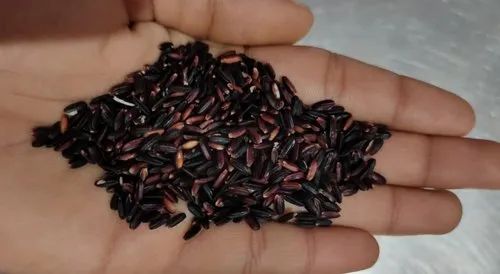 Black Rice