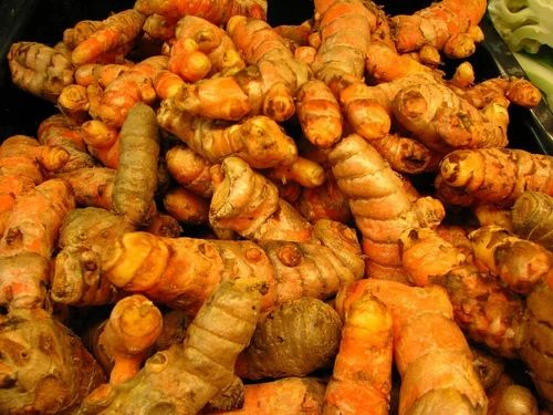 Salem (Erode) Fresh Turmeric Root, Finger