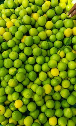 Fresh Green Lemon