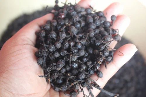 Tailed Pepper, Whole