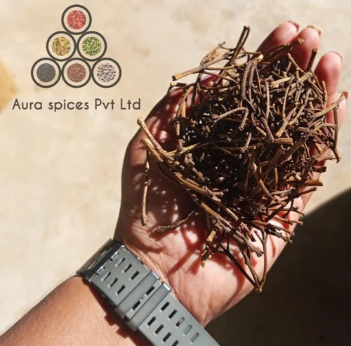 Indian SPICY CLOVE STEM