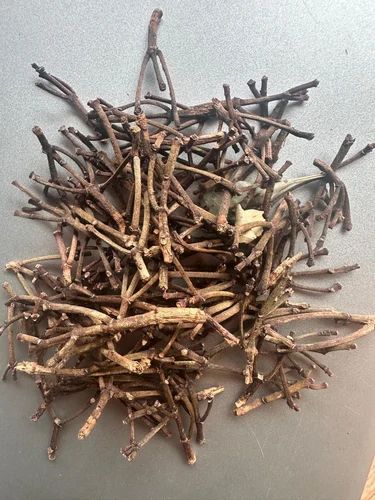 Indian Brown Dry Clove Stem, Grade: With Oil