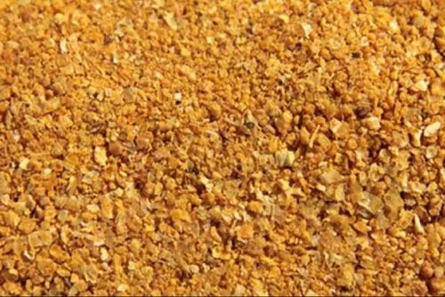 Yellow Dry Raw Maize Grain, Organic