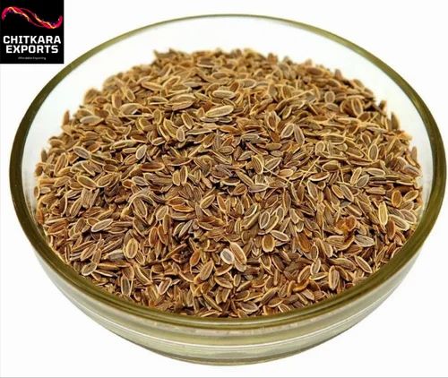 Whole Dill Seed, Packaging Size: 10 Kg, Packaging Type: PP Bag