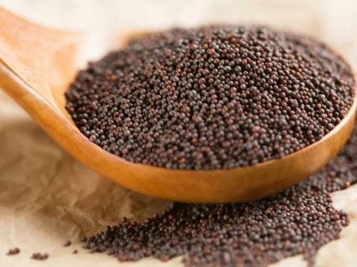 Organic Brown Mustard Seeds, Packaging Size: 50 kg