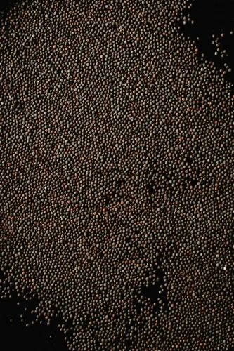 Natural Mustard Seeds, Small