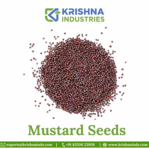 Organic Mustard Seeds