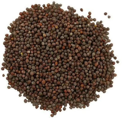 Mustard Seeds, Black, Medium