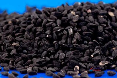 RRS Kalonji Seeds -Nigella sativa, Packaging Type: PP bag, Packaging Size: 50 Kg