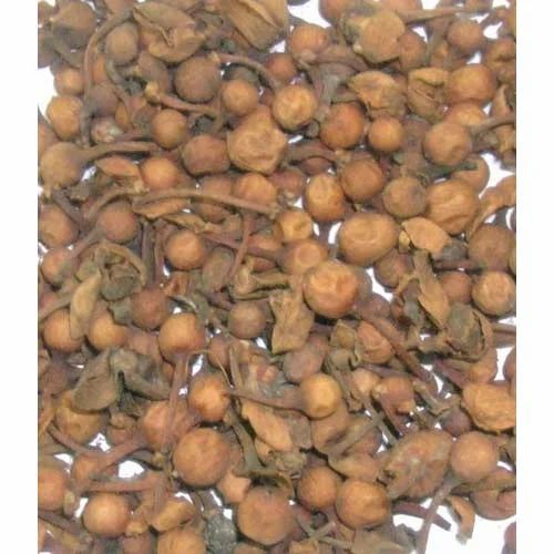 Nagkesar Seed - Ceylon Ironwood - Mesua ferrea linn.