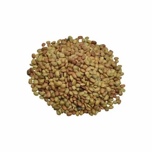 Seed Brown Kulthi Beej - Horse Gram - Macrotyloma Uniflorum, Packaging Type: PP Bag, Packaging Size: 50 Kg