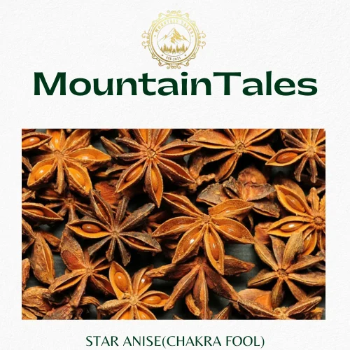 STAR ANISE - CHAKRA FUL MOUNTAIN TALES, Standard Quality, Whole