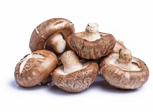 Shiitake Mushroom Extract, Packaging Type: Packet