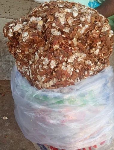 Bulk Packing Seedless Tamarind