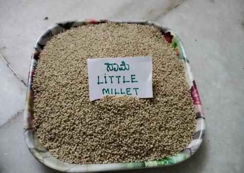 Little Millet - Saame, Grains, Packaging Size: 25 Kg