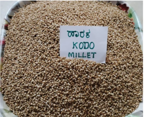Kodo Millet - Harka, Packaging Size: 25 Kg
