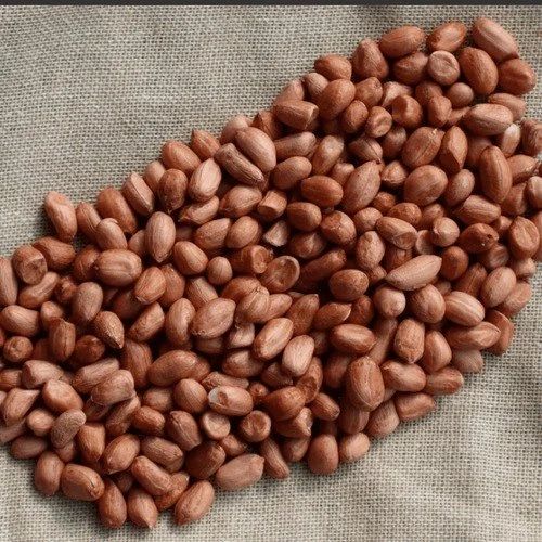 Bold Groundnut Peanut Seed
