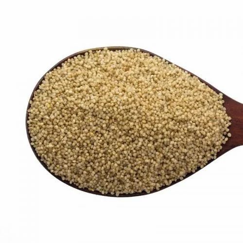 Little Millet Seed, 25 kg, Human Consumption