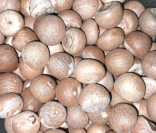 Dried Moro Whole Betel Nut (Gota)