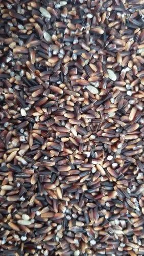 Karuppu Kavuni Rice