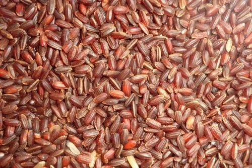 Organic Kattu Yanam Rice, Raw
