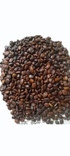 Tamarind Seed, Packaging Size: 50 kg, Packaging Type: PP Bag