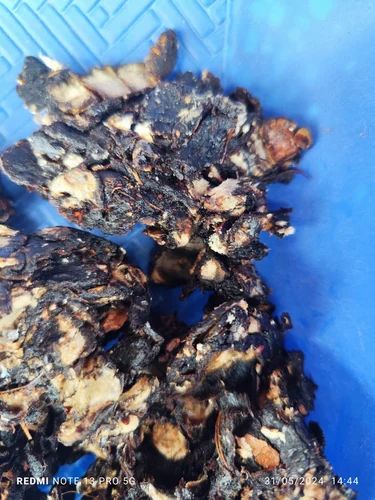 Black Tamarind, Form: Without Seed
