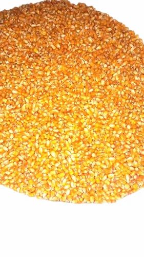 Aashirvad Green Maize, High in Protein