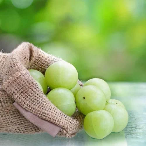 A Grade Fresh green Amla, Packaging Size: 10 Kg, Packaging Type: Gunny Bag