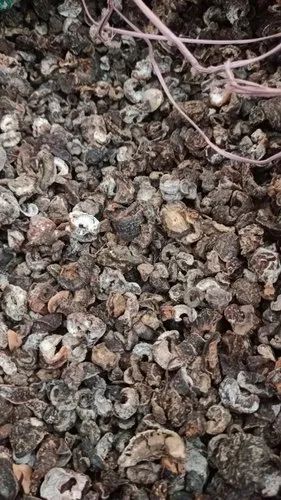 Type: Seedless Amla Dry Without Seeds, Packaging Size: 50 Kg