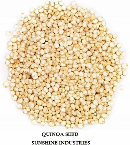 Organic Quinoa Seed