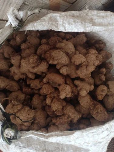 Organic Raw Ginger