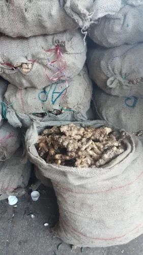 Fresh Ginger organic