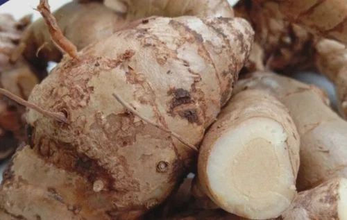Kachur White Turmeric Curcuma Zedoaria, Fresh (Raw)