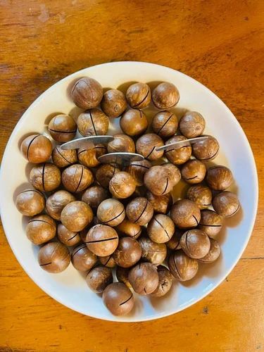 Macadamia Nuts MCT1 Verity seeds