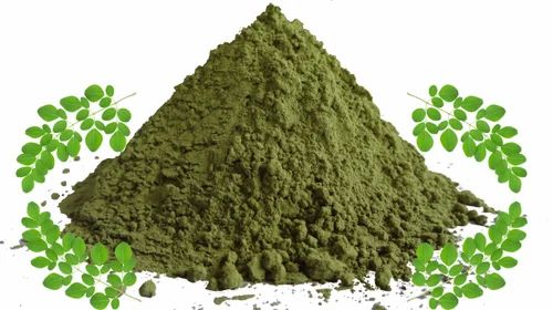 Drumstick Leaves Powder, 25 kg
