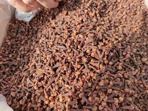 Lalpari/Indonesian Clove Dry Clove Laung, Grade: FAQ (Standard), Whole