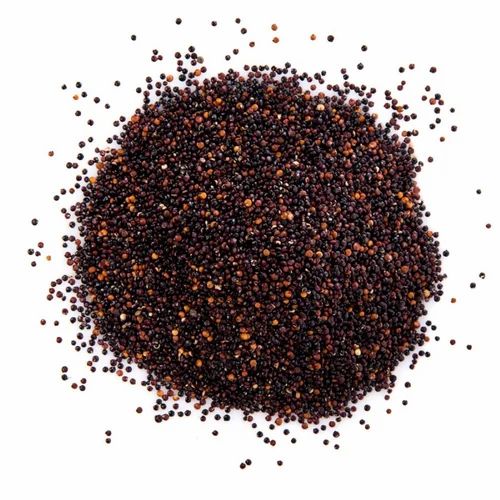 Black Mustard Seeds, Loose