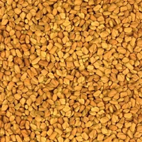 SDI Yellow Fenugreek Seeds, Packaging Type: Gunny Bag