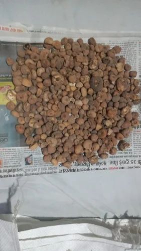 Saffron Corms (ZARAVIND)