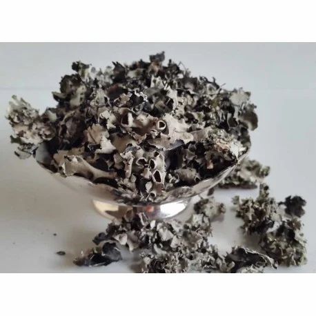 JCS Black Dadag Phul (Dadag Phul), Grade Standard: Medicine Grade, Packaging Size: 50 kg