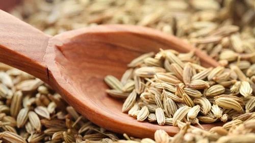 Organic Fennel Seed, Whole