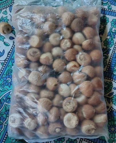 Kerala Betel Nuts- Adakka- Supari- Areka Nut, Whole (Gota)